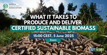 What It Takes to Produce and Deliver certified sustainable biomass - News Item - v2-07108c1788f52b35791cc3a2162f1e01.png
